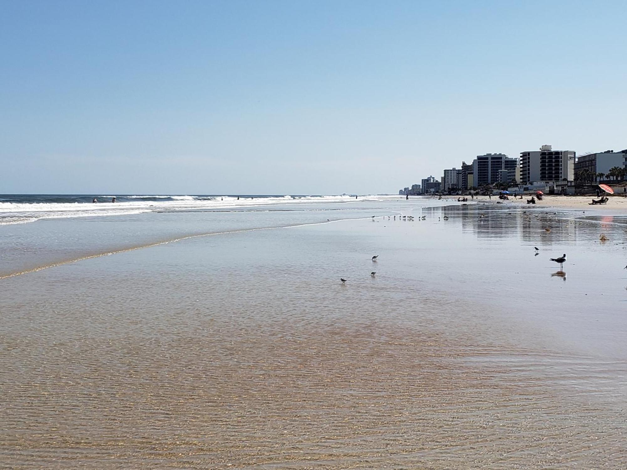 Beachside Bliss Ocean Views & Endless Fun Daytona Beach! Apartamento *
