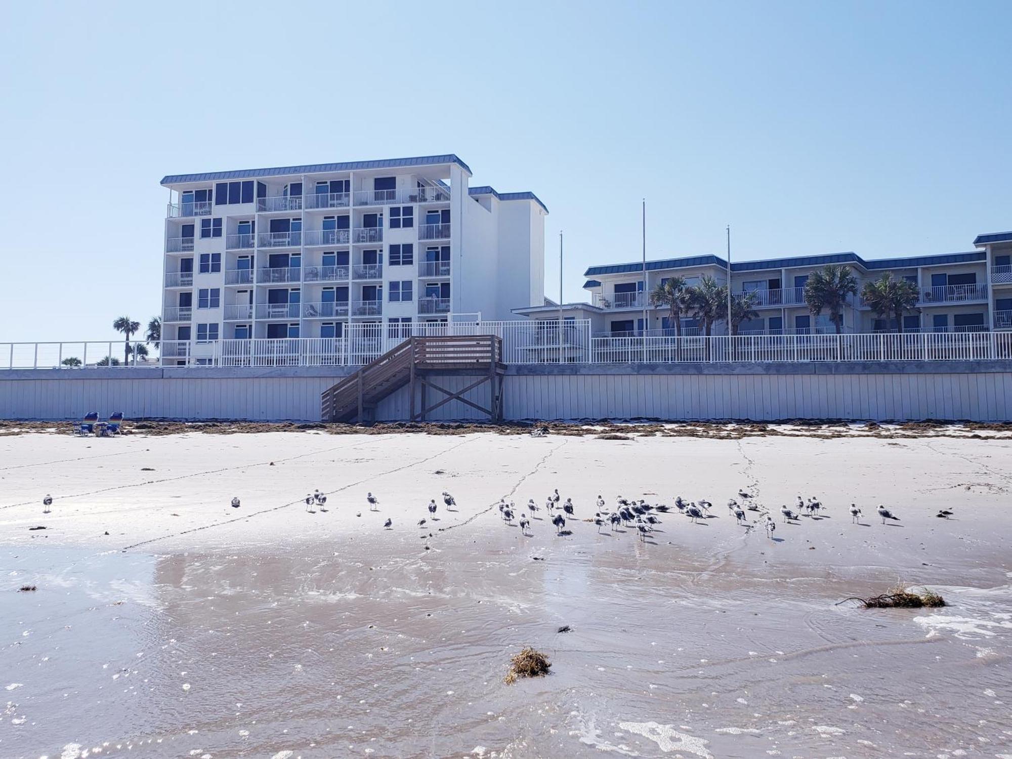 Beachside Bliss Ocean Views & Endless Fun Daytona Beach! Apartamento Daytona Beach